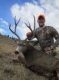 Chris O Sullivan with a great Wy. Mule Deer 2012